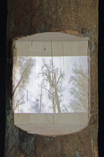 Ausgeschnitzt Ausgeschnitzt