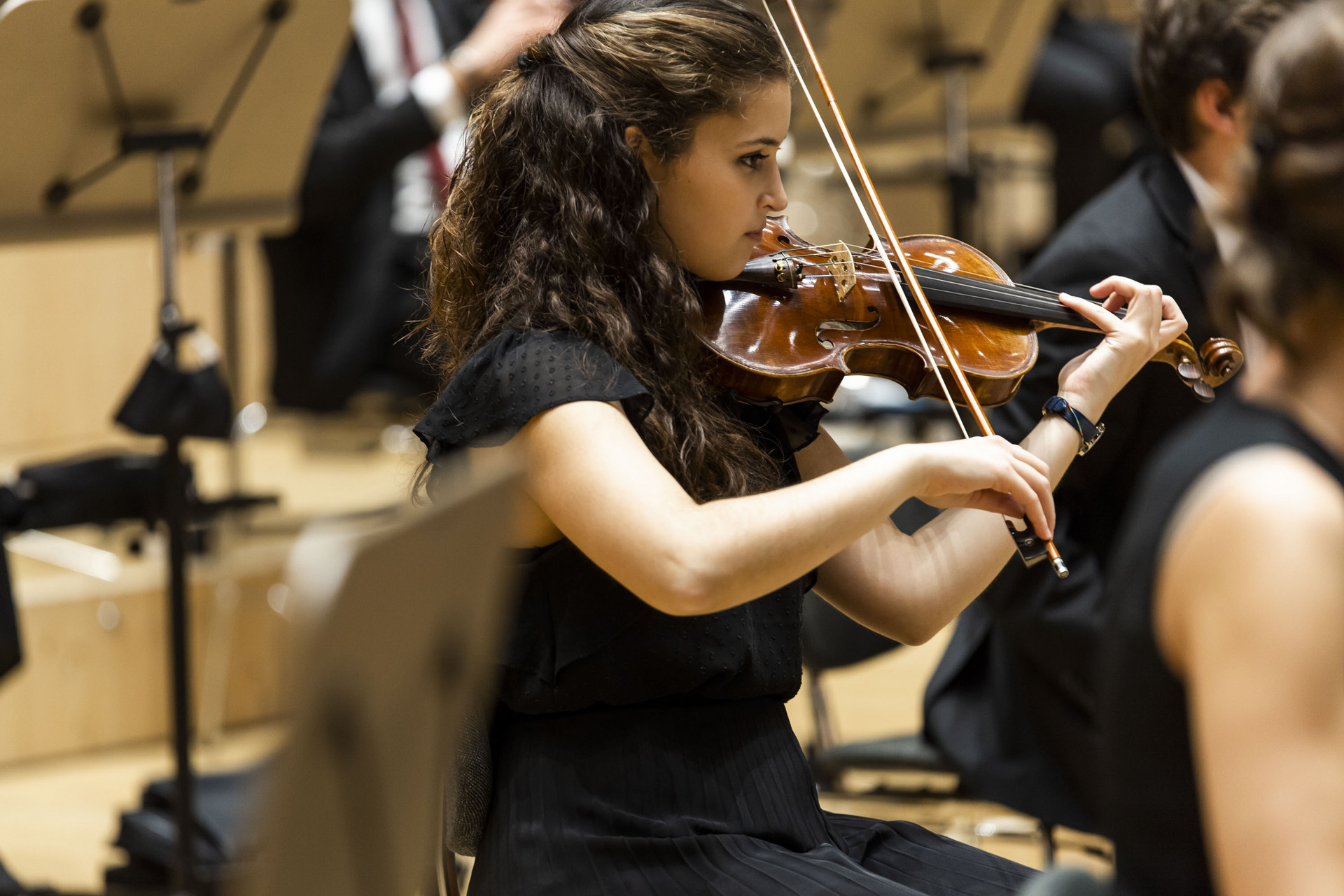 Archet violon Gewa Student chez BD Music