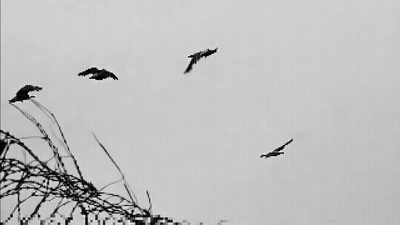 SueJin Hong: "Circuit: Cold War Echoes in a Thawing World" (2025) SueJin Hong: "Circuit: Cold War Echoes in a Thawing World" (2025)