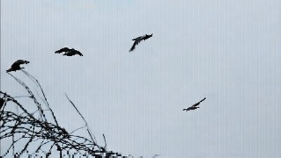 SueJin Hong: "Circuit: Cold War Echoes in a Thawing World" (2025) SueJin Hong: "Circuit: Cold War Echoes in a Thawing World" (2025)