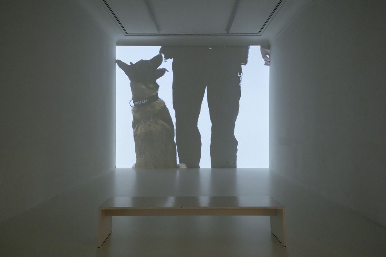 hh_r_s_khereddine_015_9714.jpg Beiss die Hand, Ausstellungsansicht Helmhaus Zürich, 2024. Foto: Zoe Tempest