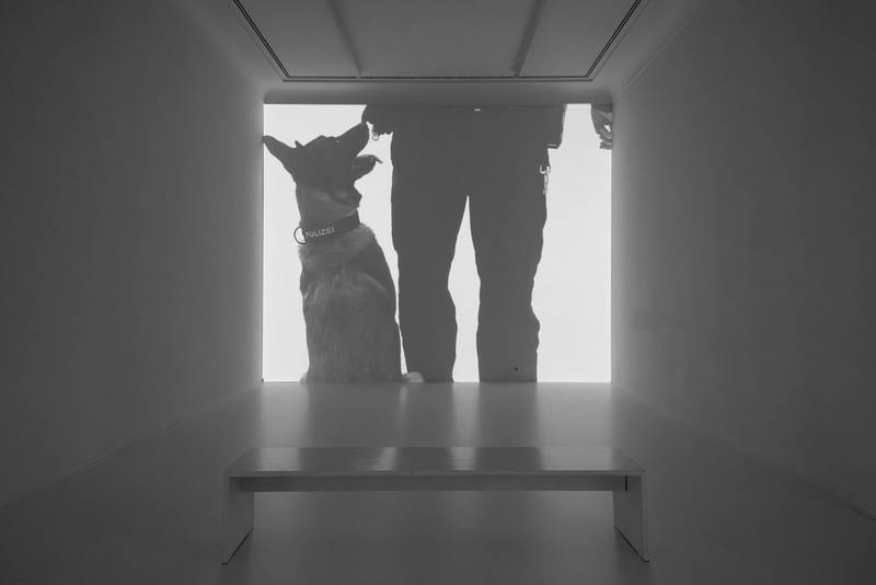 hh_r_s_khereddine_015_9714.jpg Beiss die Hand, Ausstellungsansicht Helmhaus Zürich, 2024. Foto: Zoe Tempest