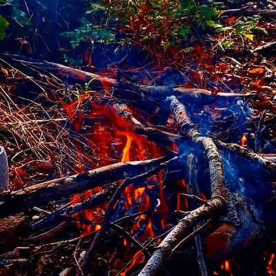 FOCUS Transformation FOCUS Transformation