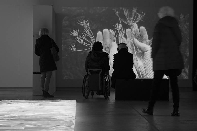 bae_diplome8.jpg Diplomausstellung Bachelor Art Education 2023