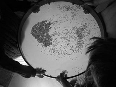 Musiktherapie Musiktherapie