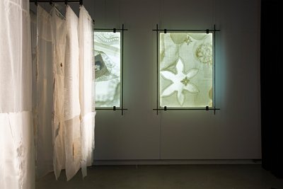 IN LOVING MEMORY OF OUR GHOSTS IN LOVING MEMORY OF OUR GHOSTS