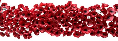 Mohnmal – Gegen das Vergessen, Drogenszene Platzspitz, 1986–1992 Mohnmal – Gegen das Vergessen, Drogenszene Platzspitz, 1986–1992