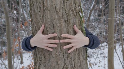 Pflanzengeflüster – Sprichst Du Pflanzisch? Pflanzengeflüster – Sprichst Du Pflanzisch?