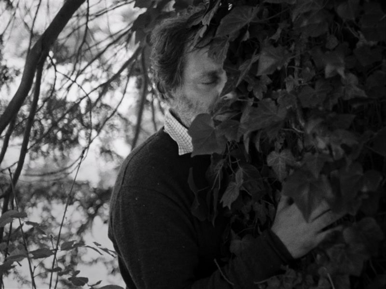 sabotagekolletiv1.jpg "Electric Fields" Copyright: Sabotagekollektiv