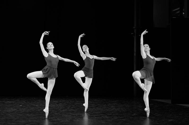 taZ – Inside Out 2024 © Carlos Quezada taZ – Inside Out 2024 © Carlos Quezada