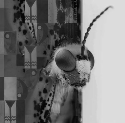 20250829 Museum-Of-The-Future 20250829 Museum-Of-The-Future