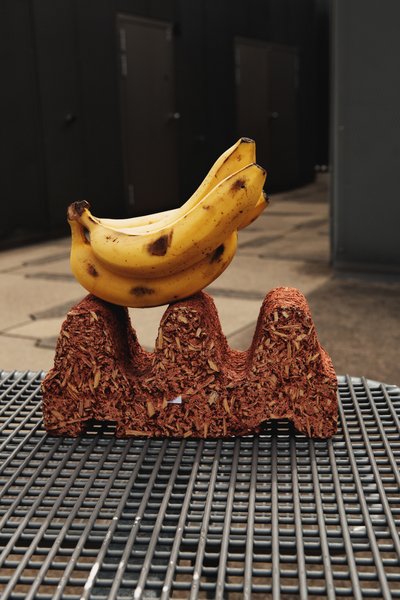 Publikationen Publikationen