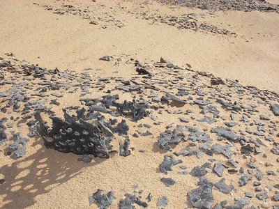 Zwischen Archiv und Wüste Zwischen Archiv und Wüste