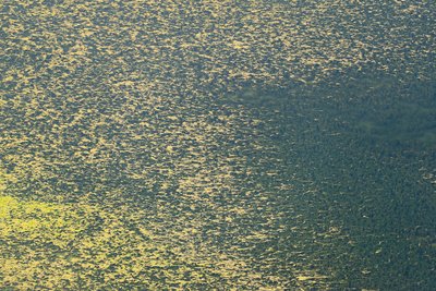 Vom Erscheinen des Verschwindens Vom Erscheinen des Verschwindens