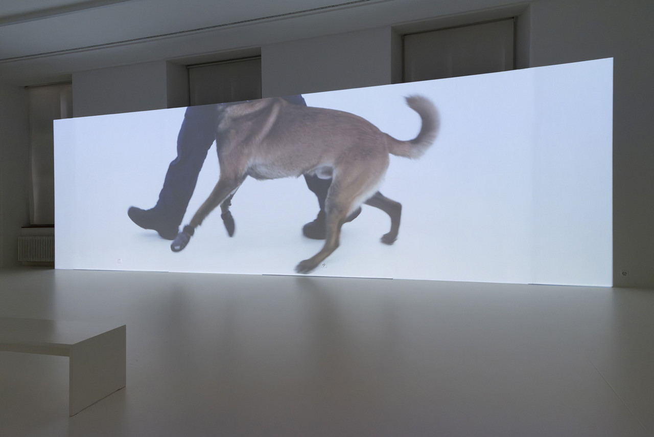 hh_r_s_khereddine_051_9935.jpg Beiss die Hand, Ausstellungsansicht Helmhaus Zürich, 2024. Foto: Zoe Tempest