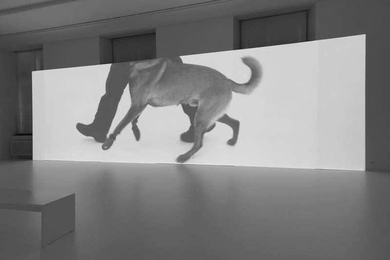 hh_r_s_khereddine_051_9935.jpg Beiss die Hand, Ausstellungsansicht Helmhaus Zürich, 2024. Foto: Zoe Tempest