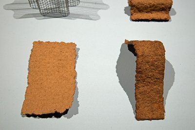 Pulp Vision Pulp Vision