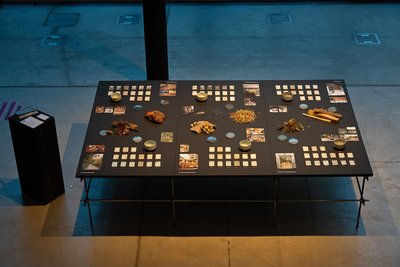 CINIS — Asche im Zentrum eines kreativen Transformationsprozesses CINIS — Asche im Zentrum eines kreativen Transformationsprozesses