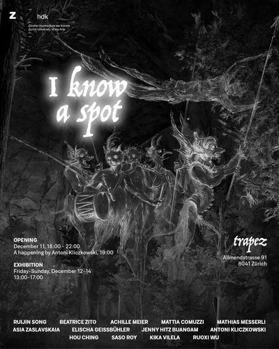 Trapez Flyer Trapez Flyer