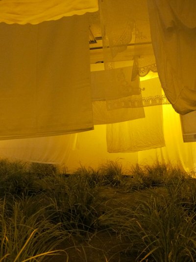 Ins Nichts – Ein Raum für Migrationstrauer Ins Nichts – Ein Raum für Migrationstrauer