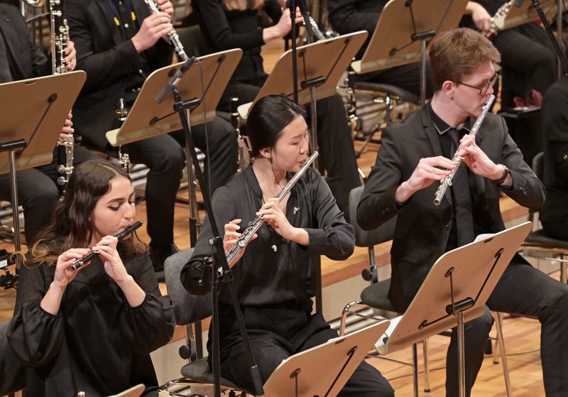 Wagner – Ring dekoratives Bild