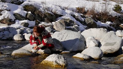 home of the waterbird::mujer del agua home of the waterbird::mujer del agua