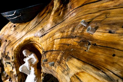 Shiverwood – guided by sorrow Shiverwood – guided by sorrow