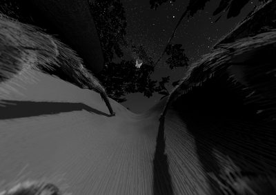 «Spinne sein» – Virtuelle Realitäten als Lern- und Erfahrungsräume «Spinne sein» – Virtuelle Realitäten als Lern- und Erfahrungsräume